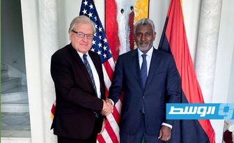 نولاند يبحث مع رئيس مؤتمر التبو فرص تعزيز الحوار السياسي في ليبيا