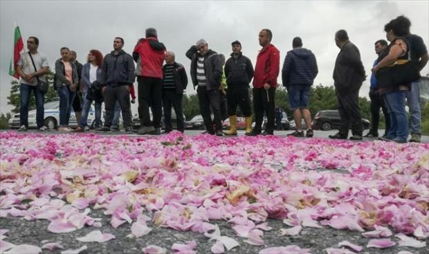 منتجو الورد في بلغاريا يتظاهرون لتراجع الأسعار