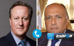 وزيرا خارجية مصر وبريطانيا يبحثان جهود التوصل إلى اتفاق للتهدئة في غزة