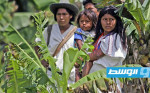 إدراج معارف سكان أصليين في كولومبيا على قائمة «يونسكو»