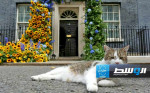 القط لاري يستعد للتعايش مع رئيس وزراء بريطاني جديد