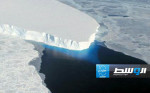 علماء يحذرون من ذوبان الصفائح الجليدية لـ«أنتركتيكا»