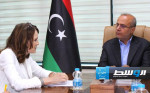 غانيون: البعثة الأممية تدعم جهود «الرئاسي» في المصالحة الليبية