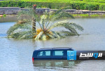 الإمارات تخصص 544 مليون دولار لمعالجة أضرار الأمطار