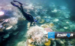 «اليونسكو» تطالب أستراليا بحماية «عاجلة» لأكبر حاجز مرجاني في العالم