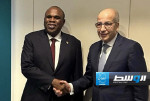 «الكبير» يبحث استكمال عضوية ليبيا في البنك الأفريقي للاستيراد