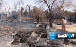 حريق في مزرعة بالجنوب الليبي.. تعرف على حجم الأضرار (صور)