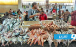 ماذا وراء تراجع إنتاج الأسماك في المغرب؟