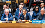 قطر تطالب مجلس الأمن بخطوات إضافية لتثبيت وقف إطلاق النار وتدفق المساعدات لغزة