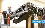 مزاد على هيكل عظمي لديناصور يعود إلى 67 مليون سنة