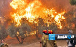 فرق الإطفاء اليونانية تسيطر على حرائق الغابات قرب أثينا