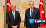 إردوغان والكبير يبحثان زيادة التعاون في المجال المصرفي