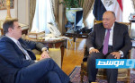 مصر تشيد بالتعاون مع الاتحاد الأوروبي في مجال مكافحة الإرهاب