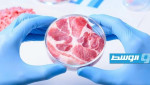 اللحوم المصنعة مخبريا محل جدل في مجلس الشيوخ الفرنسي