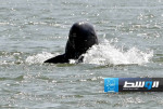 انتعاش بأعداد الدلافين في نهر ميكونغ الآسيوي