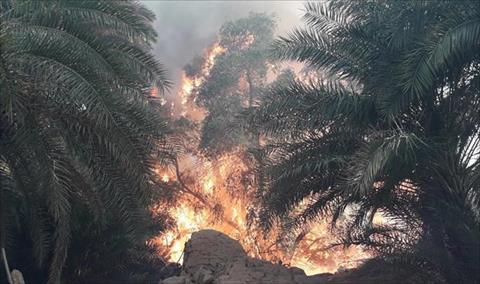 حريق مروع في مزارع بغدامس والنار تلتهم 1000 شجرة نخيل