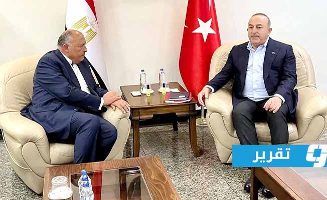 وزيرا خارجية مصر وتركيا في القاهرة مارس 20230. (أرشيفية: الإنترنت)