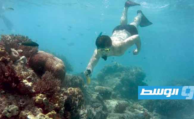 الحاجز المرجاني العظيم يفلت من قائمة اليونسكو