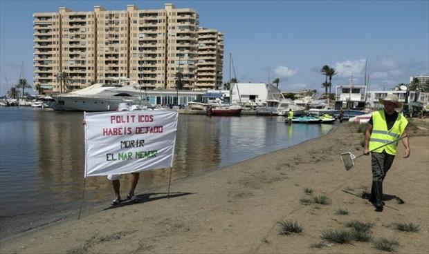 تظاهرة بإسبانيا حزنا على نفوق ملايين الأسماك