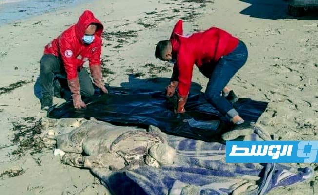 متطوعو جمعية الهلال الأحمر فرع أجدابيا ينتشلون الجثة من شاطئ الزويتينة. (الهلال الأحمر)