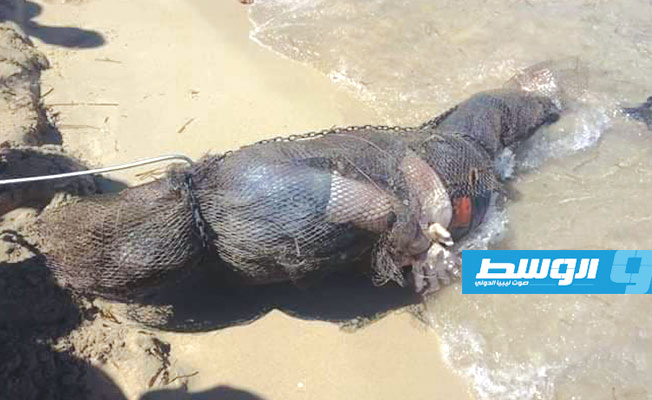 العثور على جثة مقيدة بشاطئ «البراني» جنوب غرب بنغازي