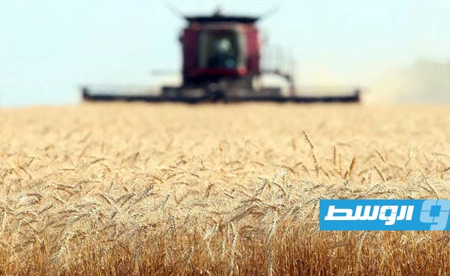 تراجع صادرات الحبوب الأوكرانية 30% في بداية الموسم الجديد