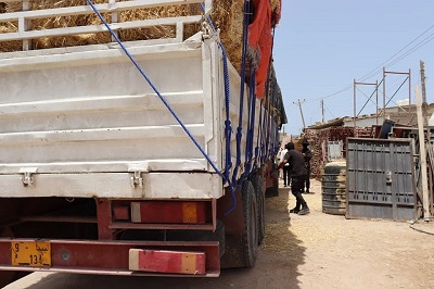 70 migrants found hiding inside a truck loaded with hay in Zliten
