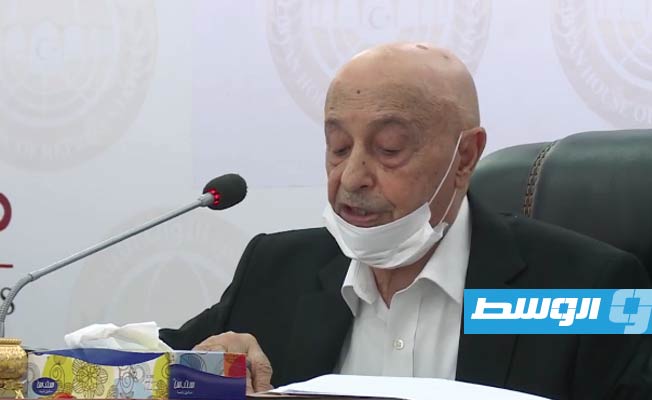 عقيلة صالح: عمليات التشاور مع مجلس الدولة «لم تنجح» لكنها مستمرة