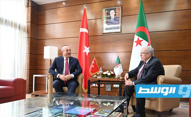 توافق بين الجزائر وتركيا بشأن «وحدة ليبيا» والانتخابات