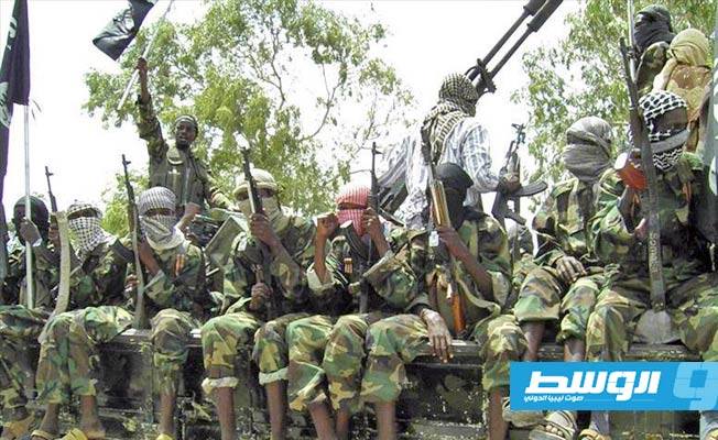 27 قتيلا شرق النيجر في هجوم نسب إلى «بوكو حرام»