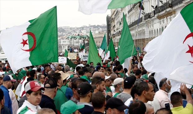 قبل أسبوعين من موعدها.. محتجو الجزائر يرفضون الانتخابات الرئاسية