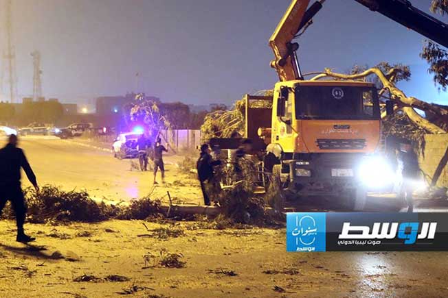 سقوط شجرة على سيارة في طرابلس، 14 أبريل 2024. (مديرية أمن طرابلس)