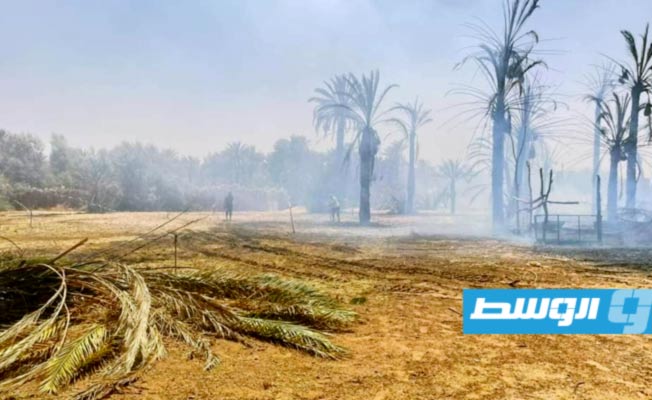 آثار حريق في مزارع وادي عتبة بالمنطقة الجنوبية، 1 يوليو 2023. (وزارة الشؤون الاجتماعية)