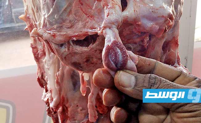 ضبط دواجن فاسدة وغلق محلات لبيع اللحوم في غات