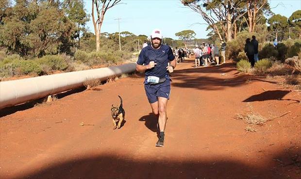 ميدالية لكلب أنهى سباق نصف ماراثون بأستراليا