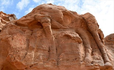 لغز يلف جِمال منحوتة بالصخر في صحراء الجوف بالسعودية