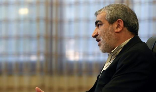 مسؤول إيراني يبشر بانتخابات تشريعية أكثر انفتاحا في فبراير المقبل