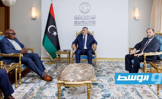 من لقاء رئيس المجلس الأعلى للدولة، محمد تكالة، مع نائب المبعوث الأممي لدى ليبيا، ريزيدون زينينغا، 22 أغسطس 2023. (المكتب الإعلامي لمجلس الدولة)