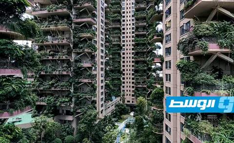 نبات يجتاح مجمعا سكنيا في الصين