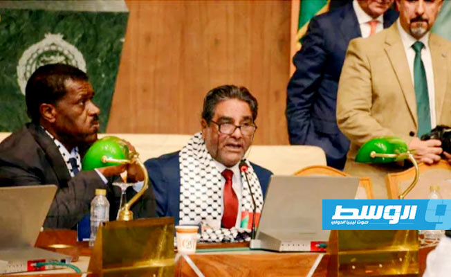 من جلسة البرلمان العربي لنصرة فلسطين بمشاركة 4 أعضاء من مجلس النواب، 28 ديسمبر 2023. (مجلس النواب)