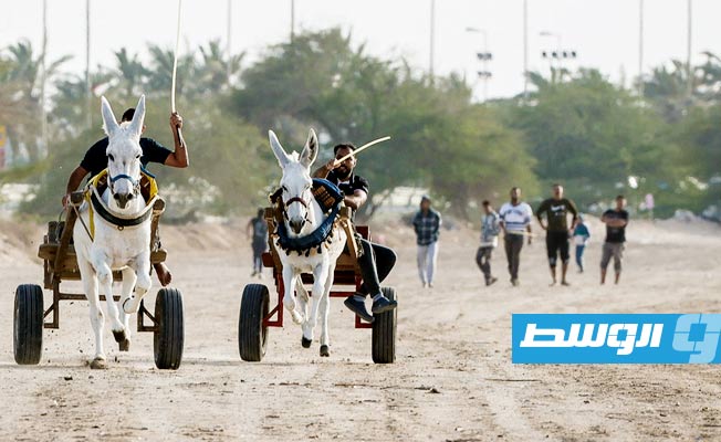 سباق الحمير تقليد شعبي في البحرين (الإنترنت)