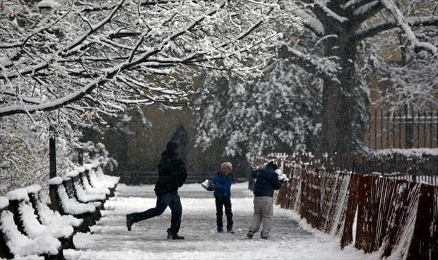 طفل ينهي قانونًا محليًا يمنع التراشق بكرات الثلج