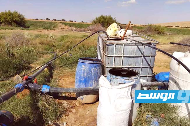 مزرعة في بني وليد خلال حملة التفتيش عن المحاصيل الزراعية (جهاز الشرطة الزراعية)