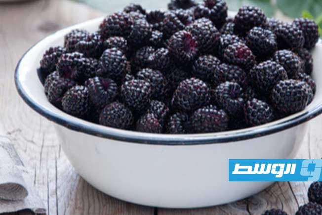 التوت (أرشيفية: الإنترنت)