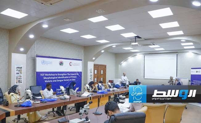 جانب من ورشة عمل تدريبية لتعزيز القدرات الوطنية للأطقم الطبية المتخصصة، السبت 31 أغسطس 2024 (المركز الوطني لمكافحة الأمراض)