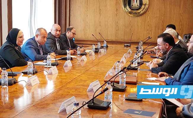وزير الصناعة والمعادن أحمد أبوهيسة التقى وزيرة التجارة والصناعة المصرية نيفين جامع (صفحة الوزارة على فيسبوك)