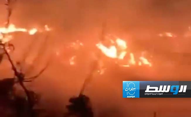 حريق ضخم في غابات رأس الهلال، 24 يوليو 2024. (الإنترنت)