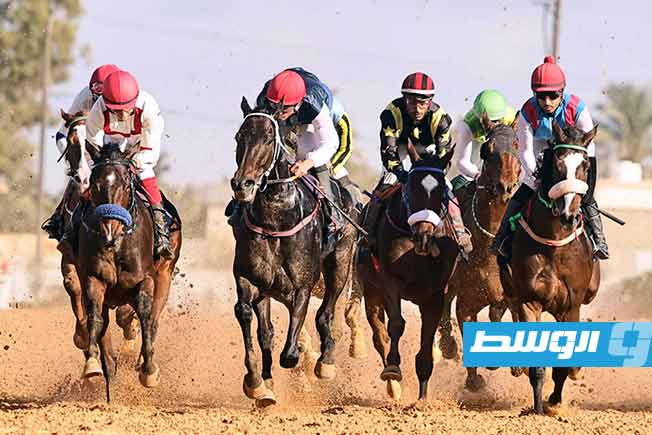 جانب من فاعليات الأسبوع الواحد والأربعون من موسم 2025 ( تصوير - محمود دردور - بوابة الوسط)