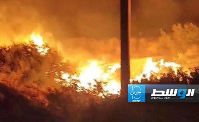 حريق ضخم في غابات رأس الهلال، 24 يوليو 2024. (الإنترنت)