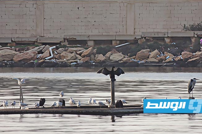 إحدى البحيرات ضمن مواقع الأراضي الرطبة في ليبيا. (تصوير: إبتسام اغفير)